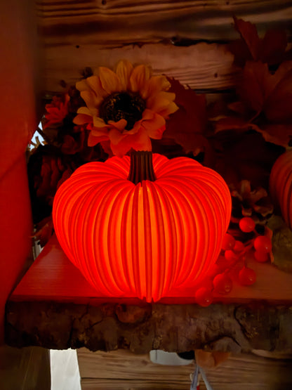 Deko Kürbis mit Licht